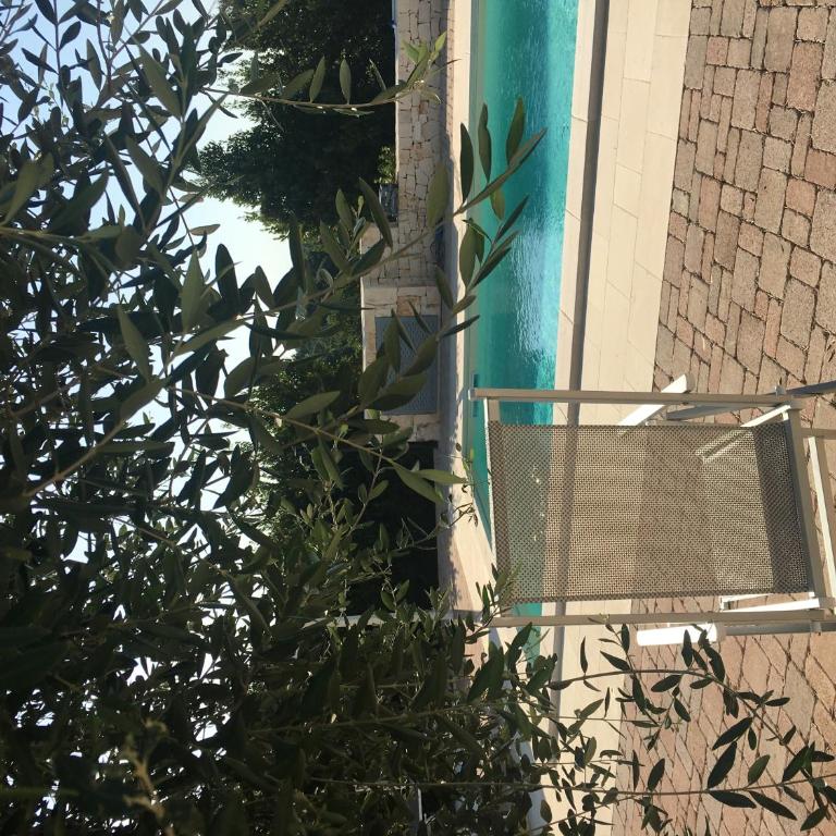 Trullo Rosa with exclusive pool - Villa Standard - 5