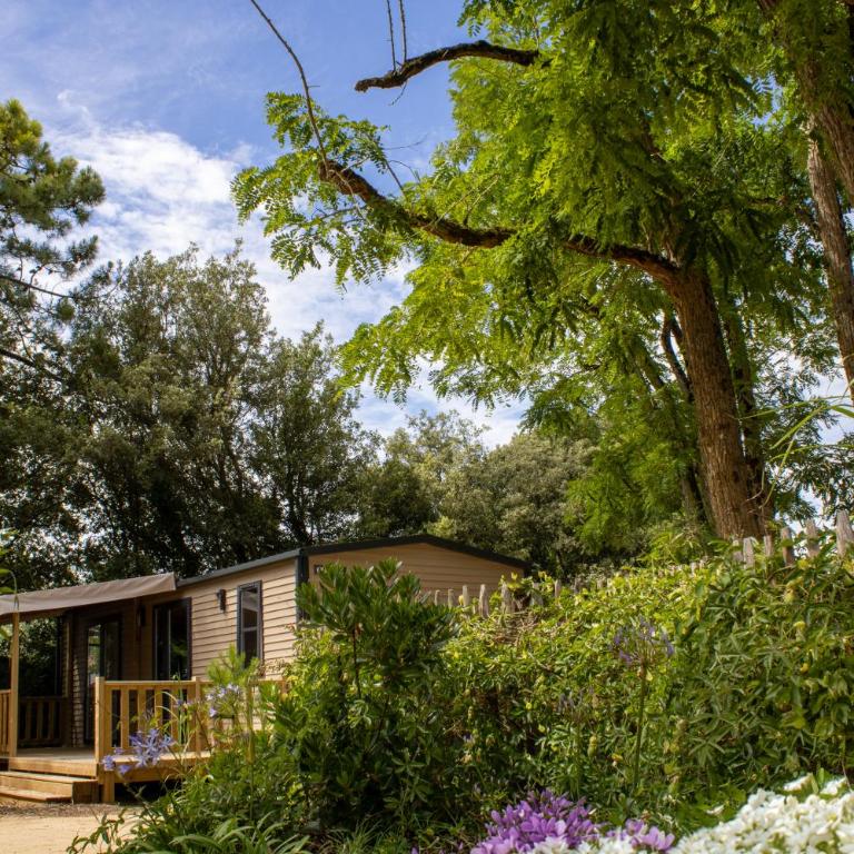 Camping Le Bois Verdon - Mobilheim - 10