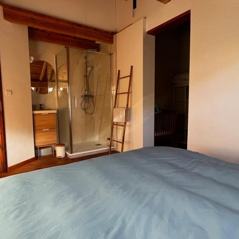 Hébergement 4 étoiles Accès Pied des Pistes en Navette Gratuite - Maison de Vacances 3 Chambres - 23