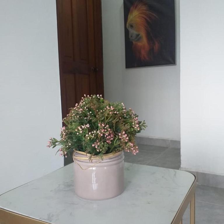 Hermoso y cómodo apartamento en Leticia - Apartamento de 2 dormitorios - 10