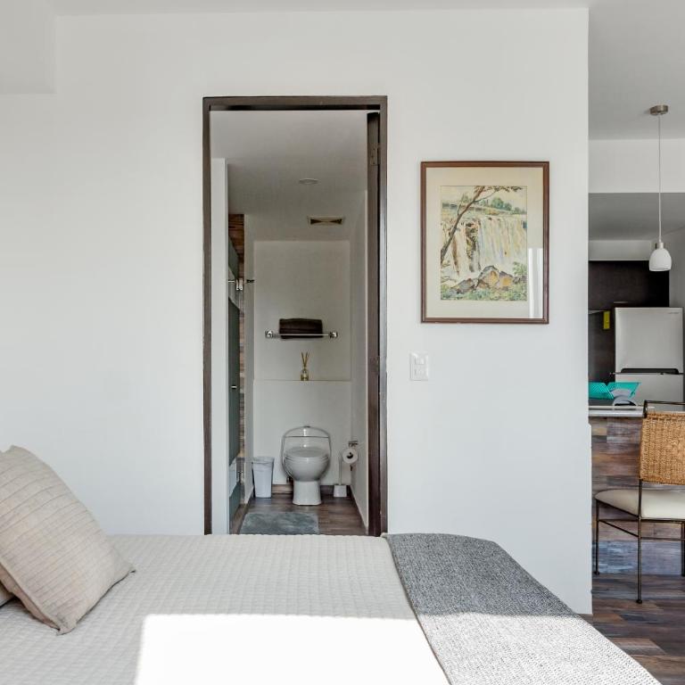 C302 1BR - 1BTh - One-Bedroom Apartment - 2