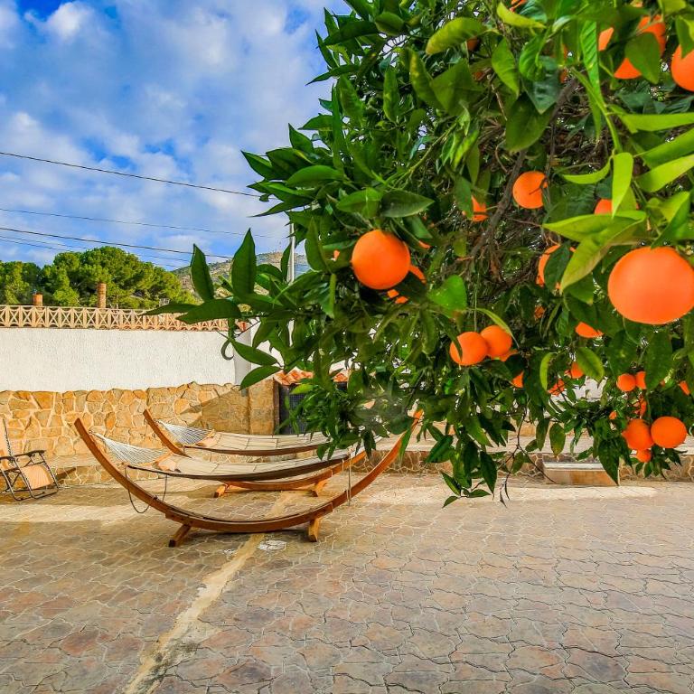 Beautiful open 3 bed apartment - Three-Bedroom Apartment - 57