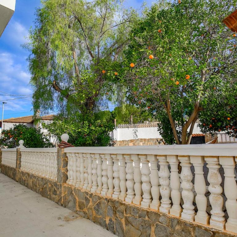 Beautiful open 3 bed apartment - Three-Bedroom Apartment - 65