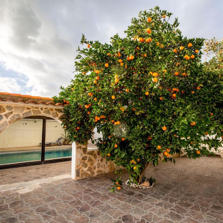 Beautiful open 3 bed apartment - Three-Bedroom Apartment - 63