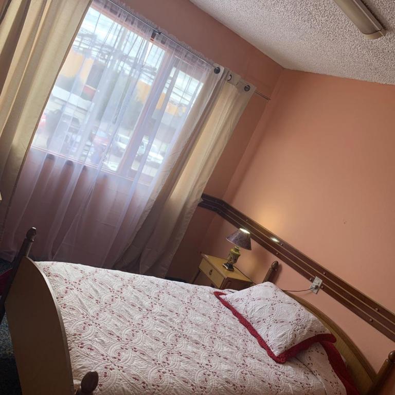 Alerce - Single Room - 1