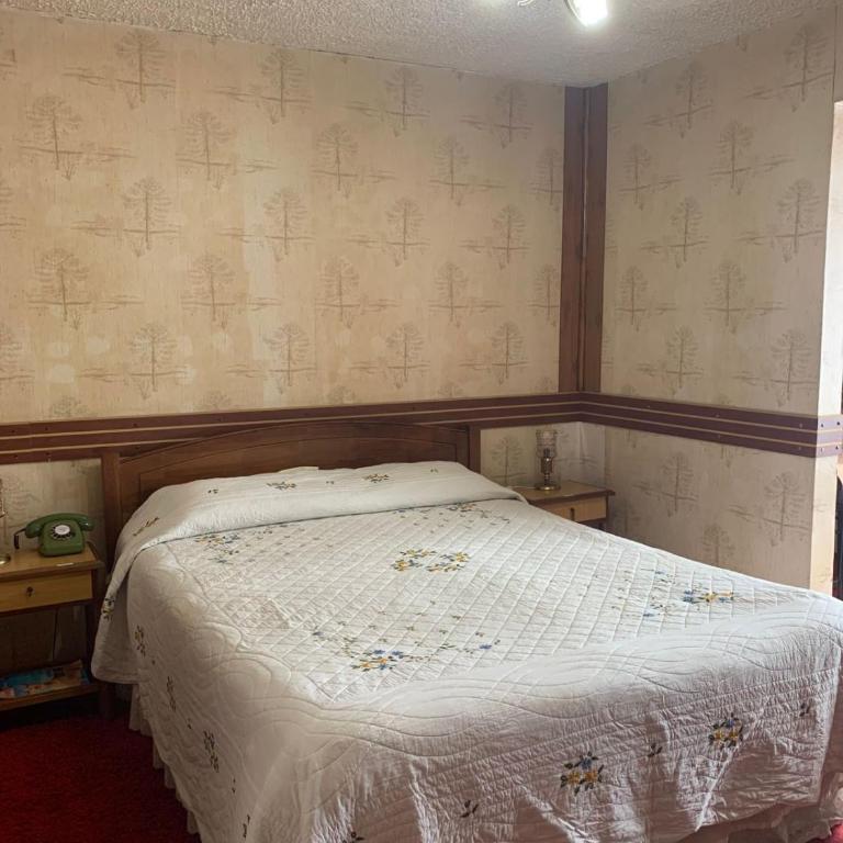 Alerce - Classic Quadruple Room - 2