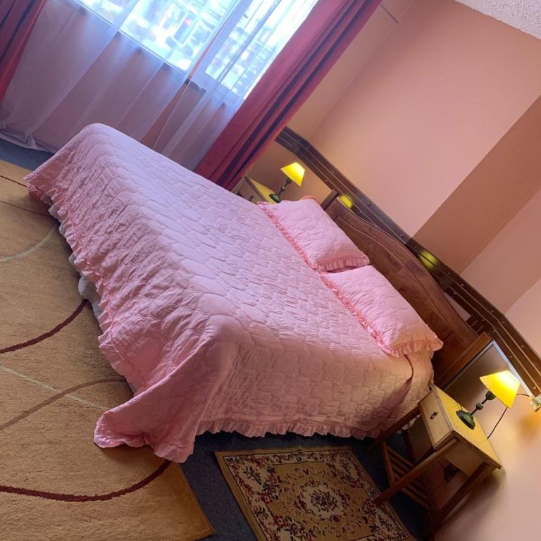 Alerce - Standard Suite - 1
