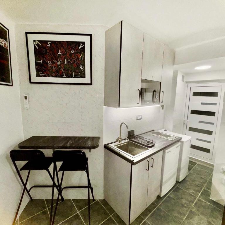 Central Mini Spot - Apartman sa 1 Spavaćom Sobom - 4