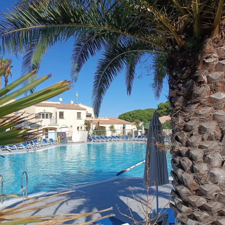 Résidence Odalys Saint loup Climatisé - Appartement 1 Chambre - Vue sur Piscine - 16