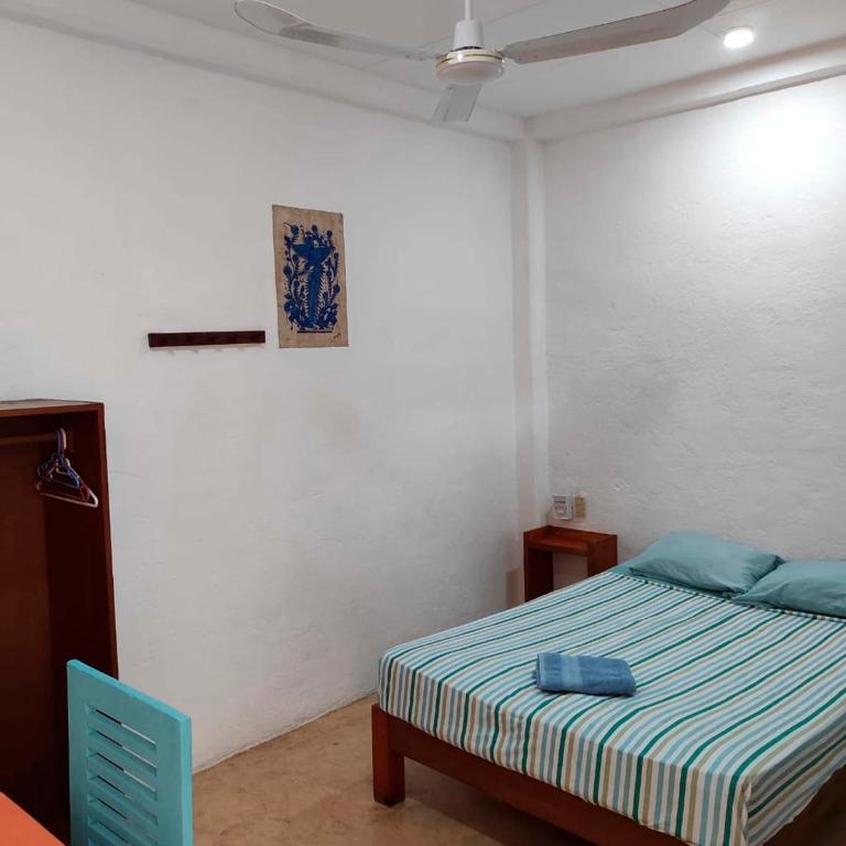 Hotel Papaya Surf - Habitación Doble Estándar - 5