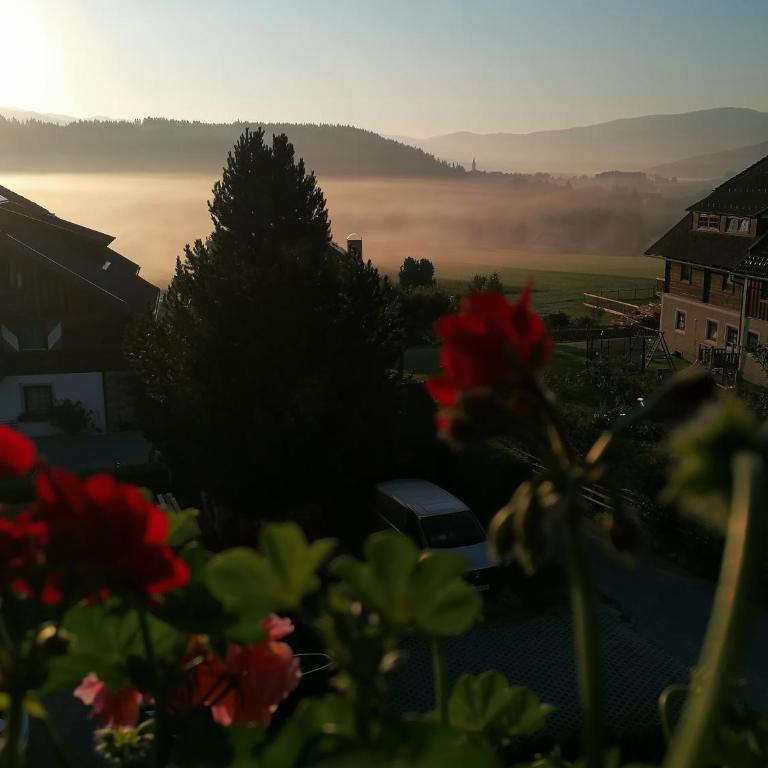 Ferienwohnungen Guglhof Mariapfarr - Apartment mit 3 Schlafzimmern und Balkon - 13
