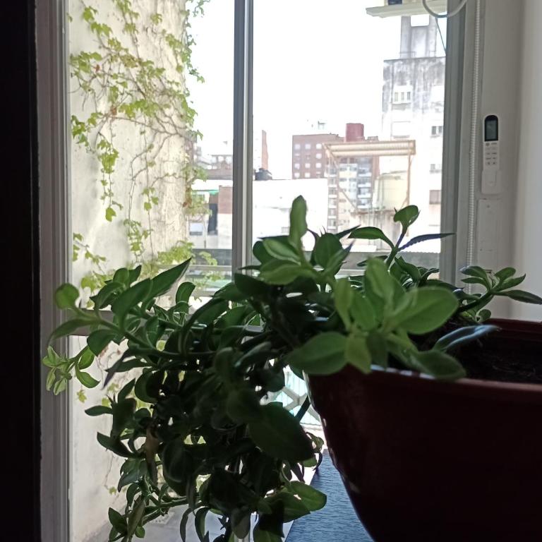 A media cuadra de la principal Av Boulevard Oroño! ALOJAMIENTOS ROSARIO! - Apartamento de 1 dormitorio - 22