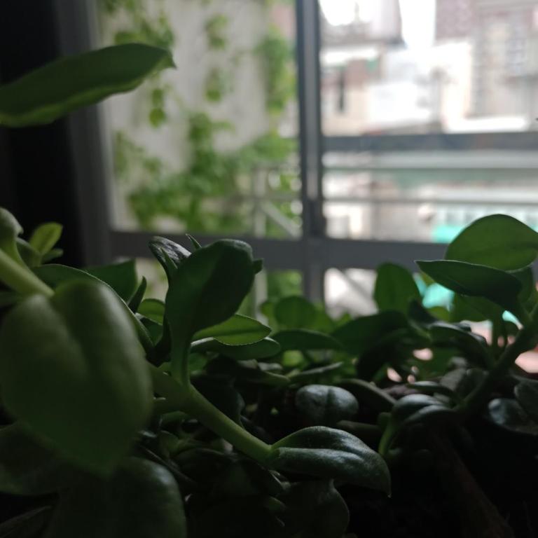 A media cuadra de la principal Av Boulevard Oroño! ALOJAMIENTOS ROSARIO! - Apartamento de 1 dormitorio - 23
