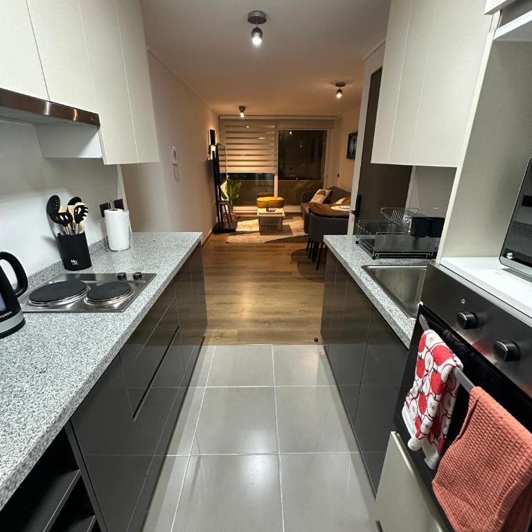 Amplio departamento en zona céntrica de Concepción - Apartamento de 2 dormitorios - 10