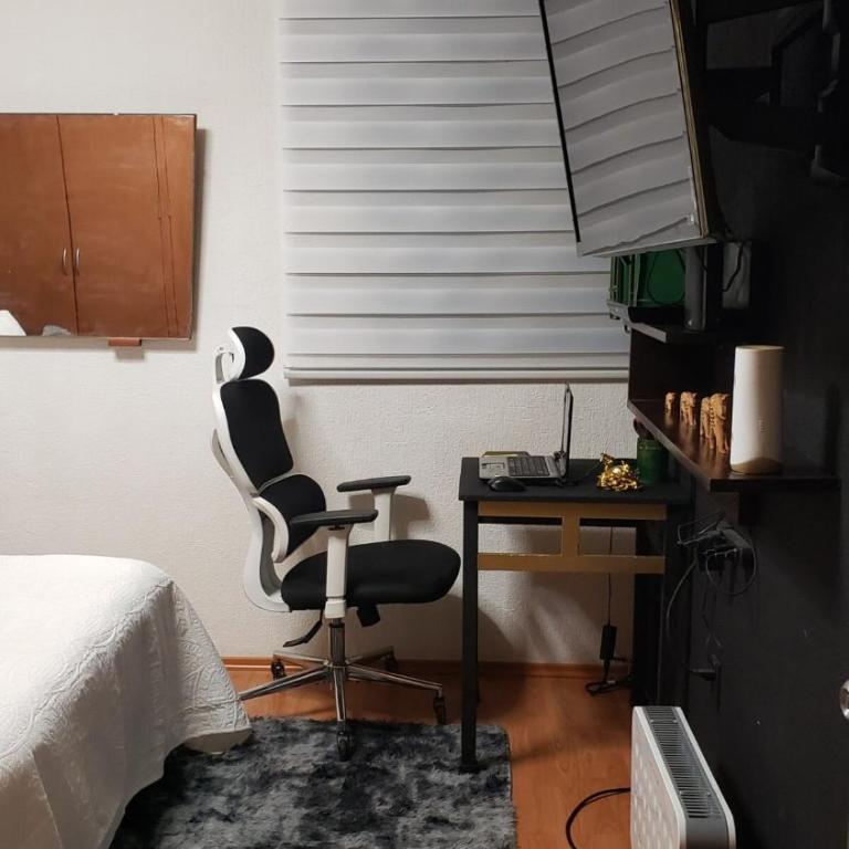 Furnished apartment in CDMX - Two-Bedroom Apartment - 30