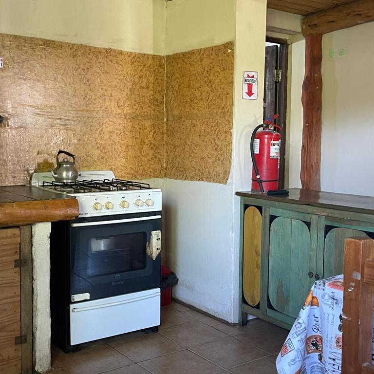 Entre Jardines - Apartamento de 1 dormitorio - 6