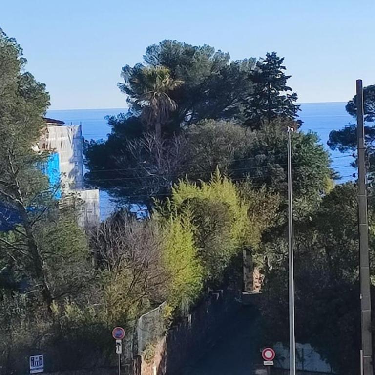 Charmant appartement à 50m des plages - Apartamento de 1 dormitorio - 3