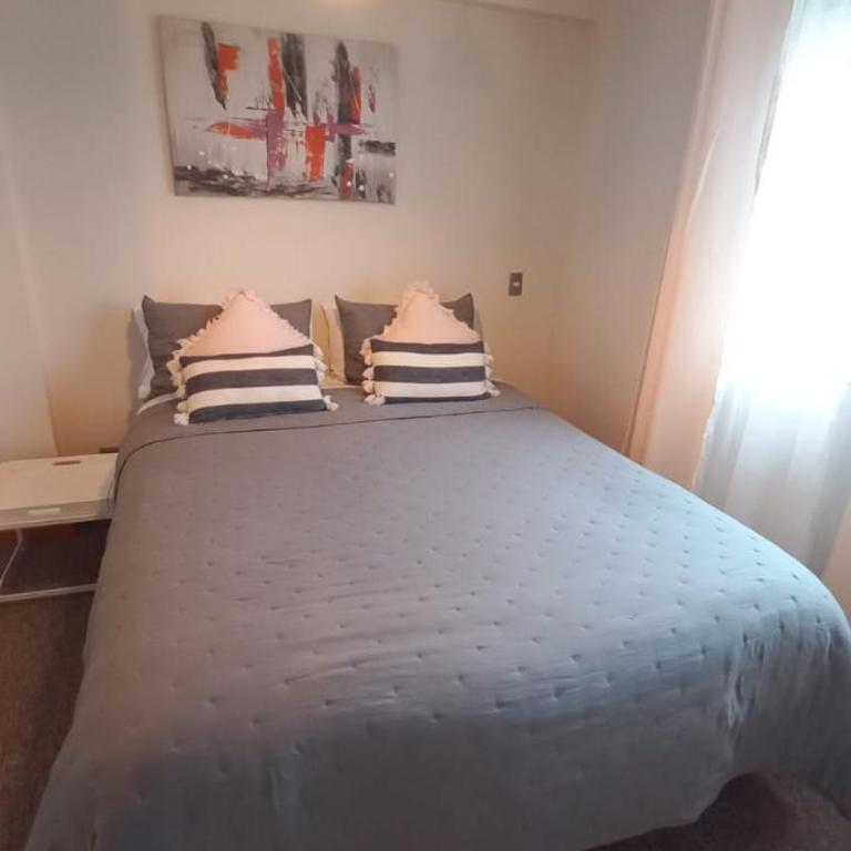 10 min del centro, 500 mt de la playa Pelluco, visita, disfruta y descansa - One-Bedroom Apartment - 14