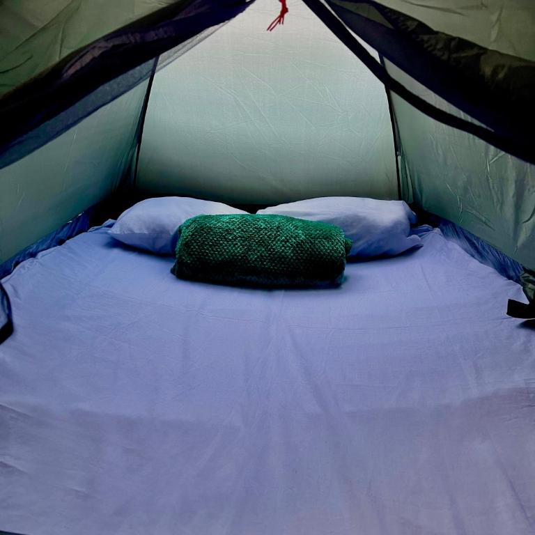 Camping en la ciudad - Tienda - 1