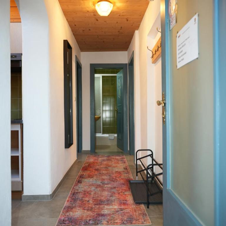 Apartmentpension Hillebrand - Two-Bedroom Apartment with Mountain View - 9