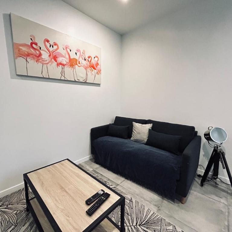 Saun arene grand T2 proche gare avec sauna - Appartamento con 1 Camera da Letto - 6