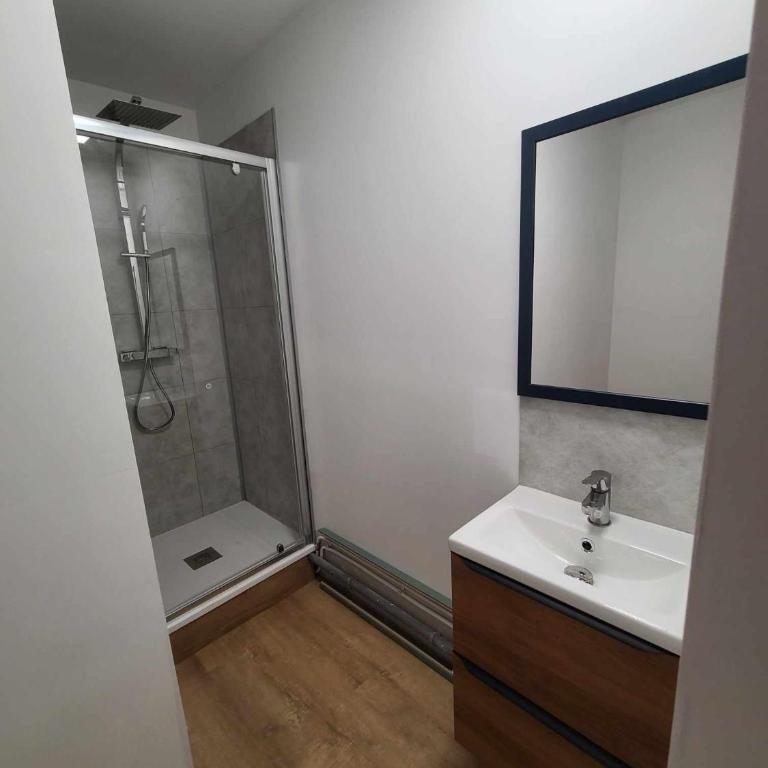 Appartement nantais 4 chambres - Appartement 4 Chambres - 6