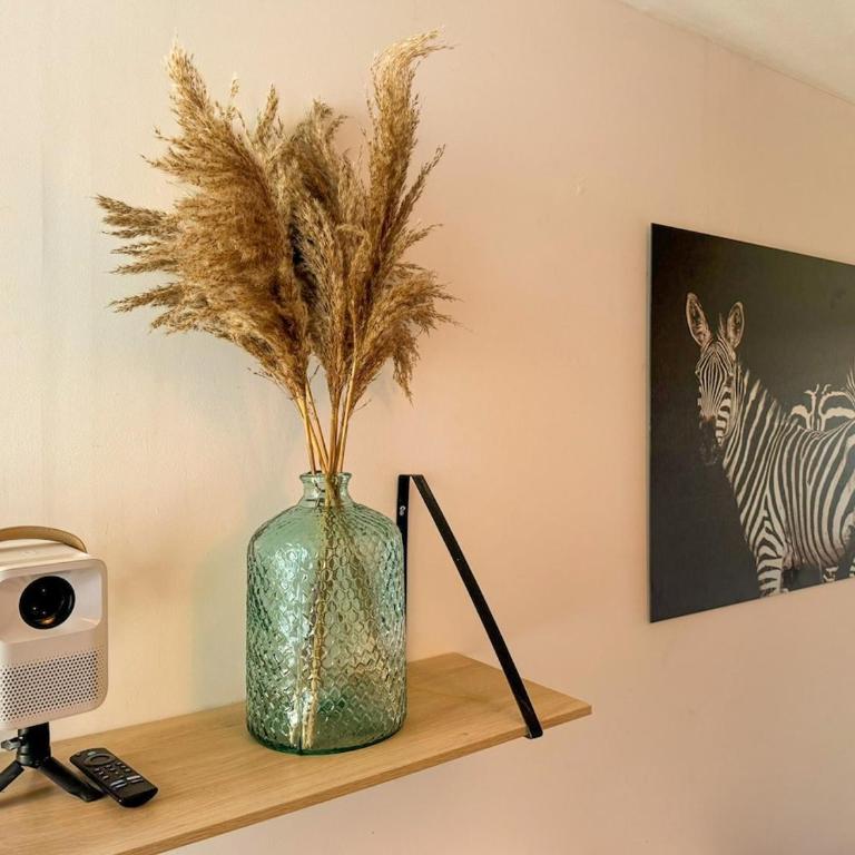 Charmant Duplex Lumineux - Appartement 2 Chambres - 8