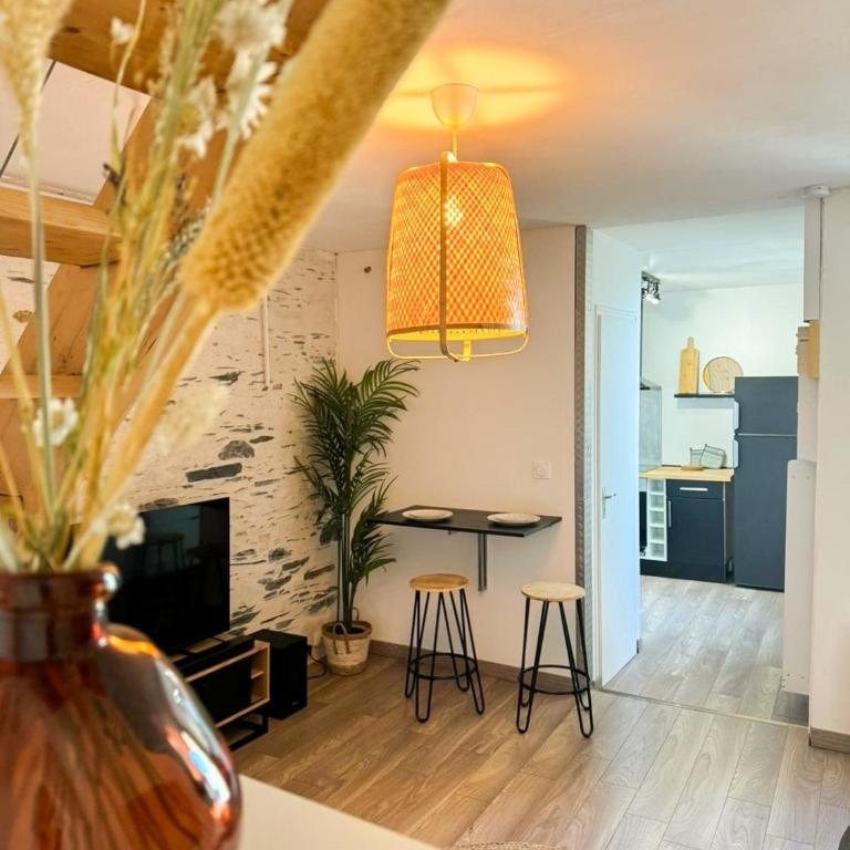 Charmant Duplex Lumineux - Appartement 2 Chambres - 17