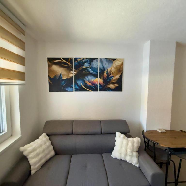 Beggy Jahorina - Apartman sa 1 Spavaćom Sobom - 5