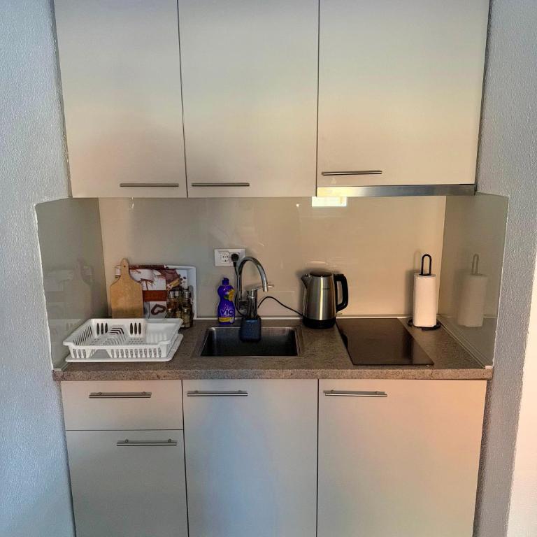 Beggy Jahorina - Apartman sa 1 Spavaćom Sobom - 6