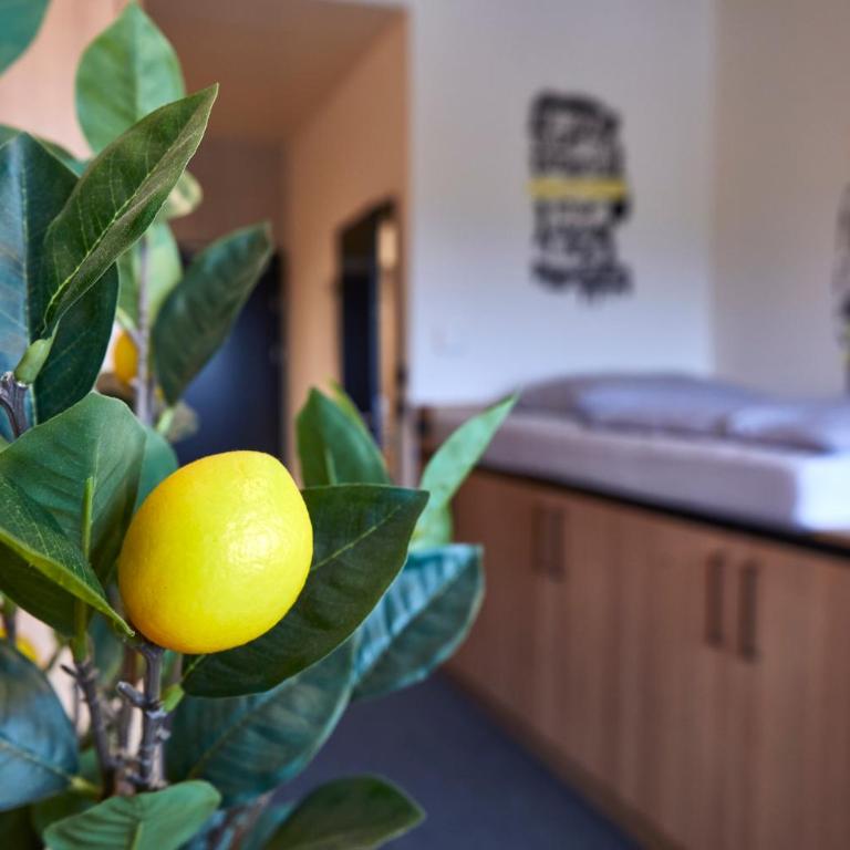 miniLOFT apartments Leonding - 24h Self-Check-in - free parking - Apartment - 5