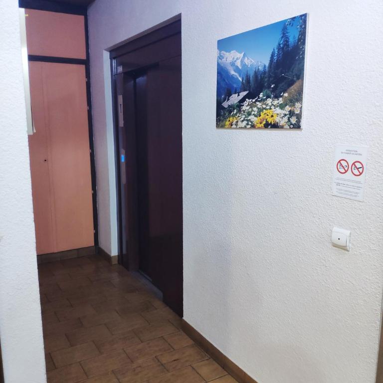 La Cabane appartement centre village avec terrasse jardin cinéma - Appartamento - 31