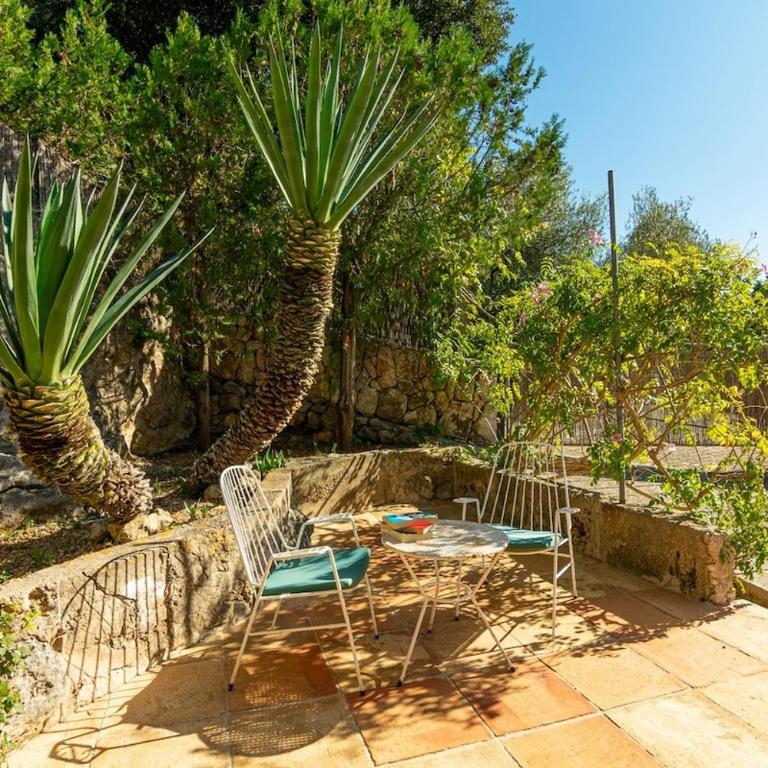 Can Miquel, villa in Pollensa - Villa con piscina privada - 23