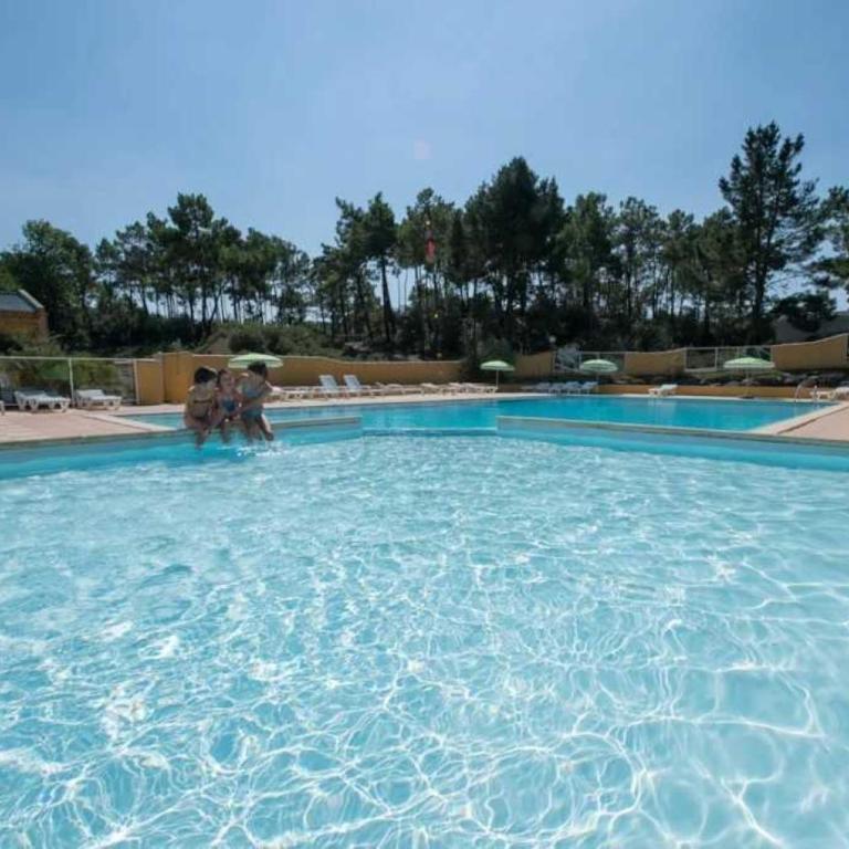 ZEcamping 4 étoiles 2km plage piscine chauffée animaux acceptés club enfant - Chalet - 1