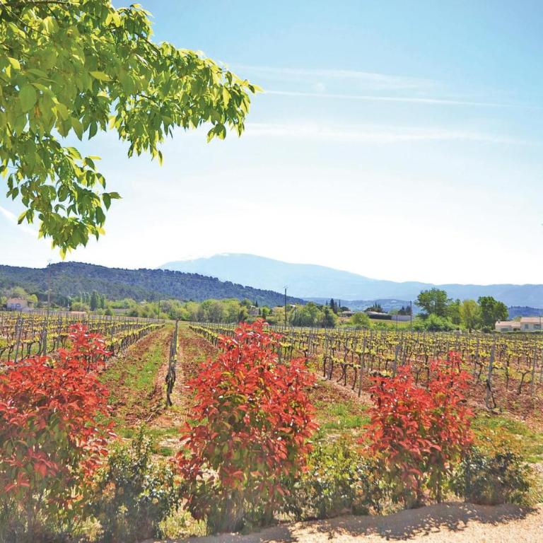 Awesome Home In St Marcellin L Vaison - Maison de Vacances 7 Chambres - 8