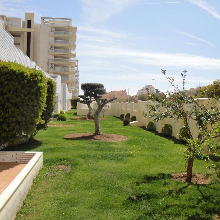 Apartamentos Argenta Caleta 3000 - Apartamento de 1 dormitorio - 24