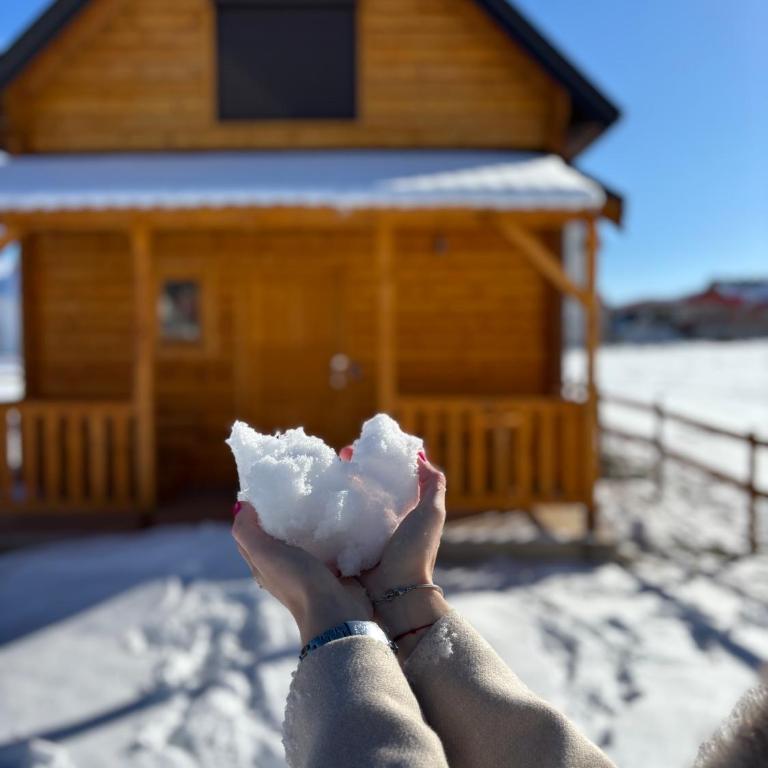 Omega Žabljak - Vila sa 2 Spavaće Sobe - 27