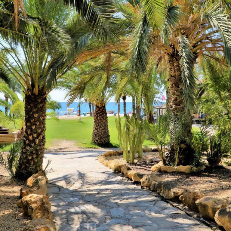 Eurotennis 1009-1 Paradise Beach Apartment - Apartamento con vistas al mar - 33