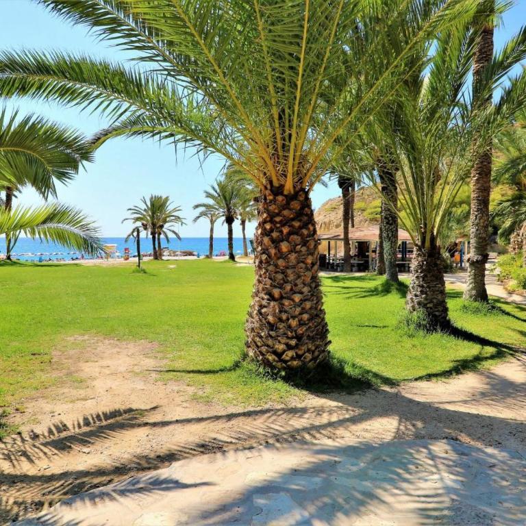 Eurotennis 1009-1 Paradise Beach Apartment - Apartamento con vistas al mar - 34