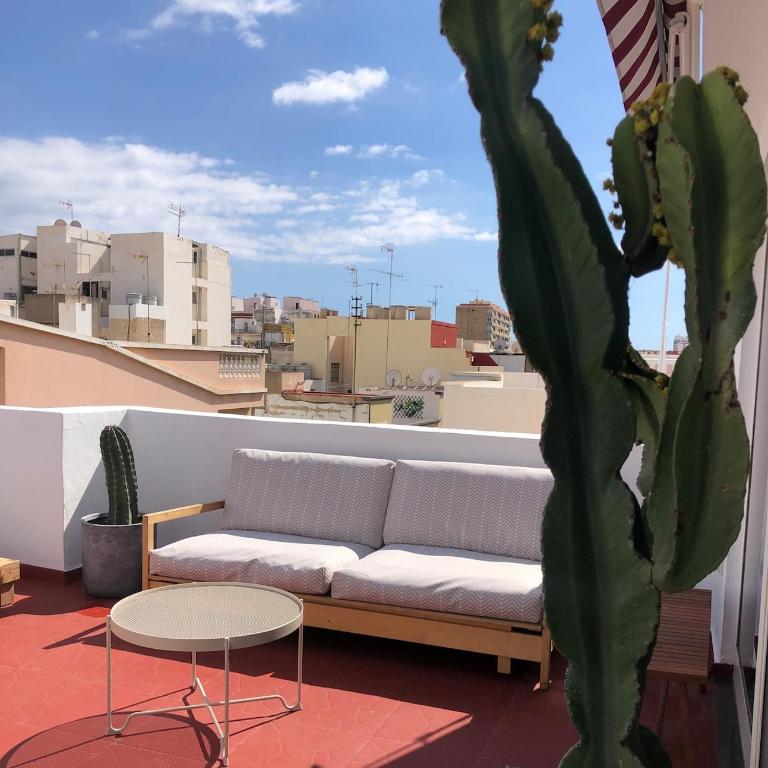 Rooftop City Center LPA - Apartamento de 1 dormitorio - 22