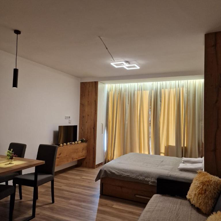 Kopaonik apartment A05 - Apartman sa 1 Spavaćom Sobom - 3