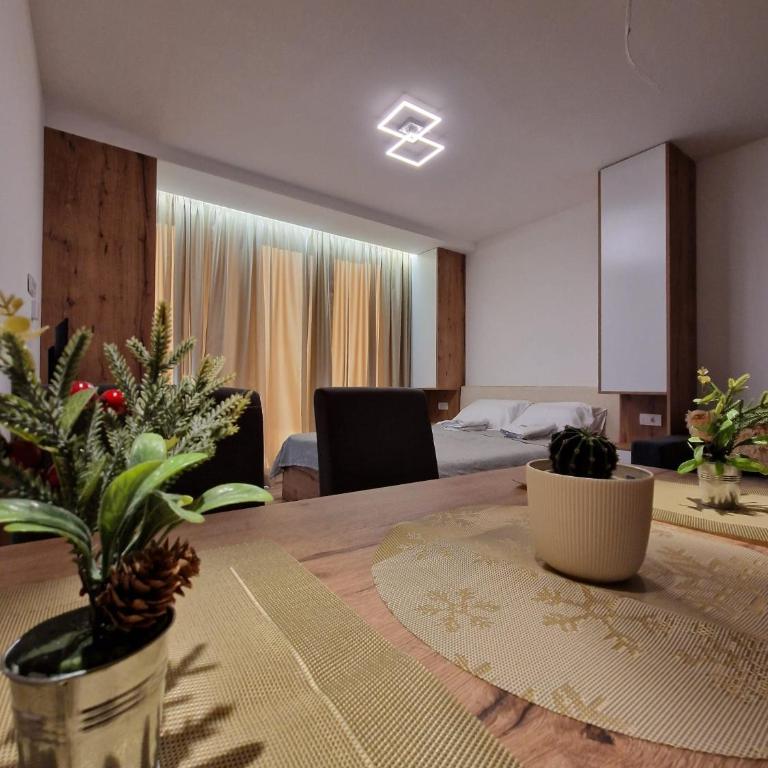 Kopaonik apartment A05 - Apartman sa 1 Spavaćom Sobom - 2