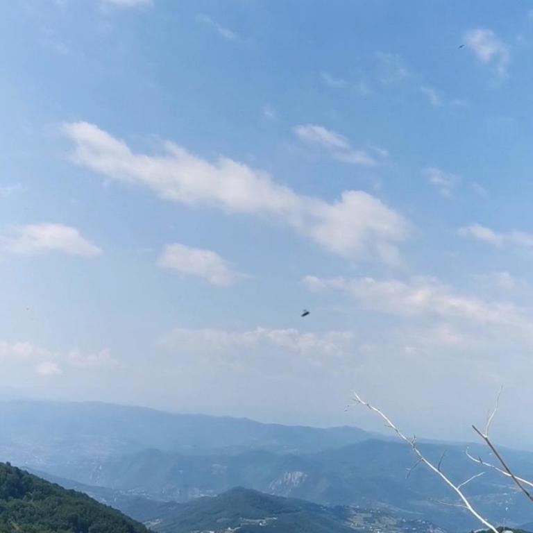 Kopaonik apartment A05 - Apartman sa 1 Spavaćom Sobom - 11