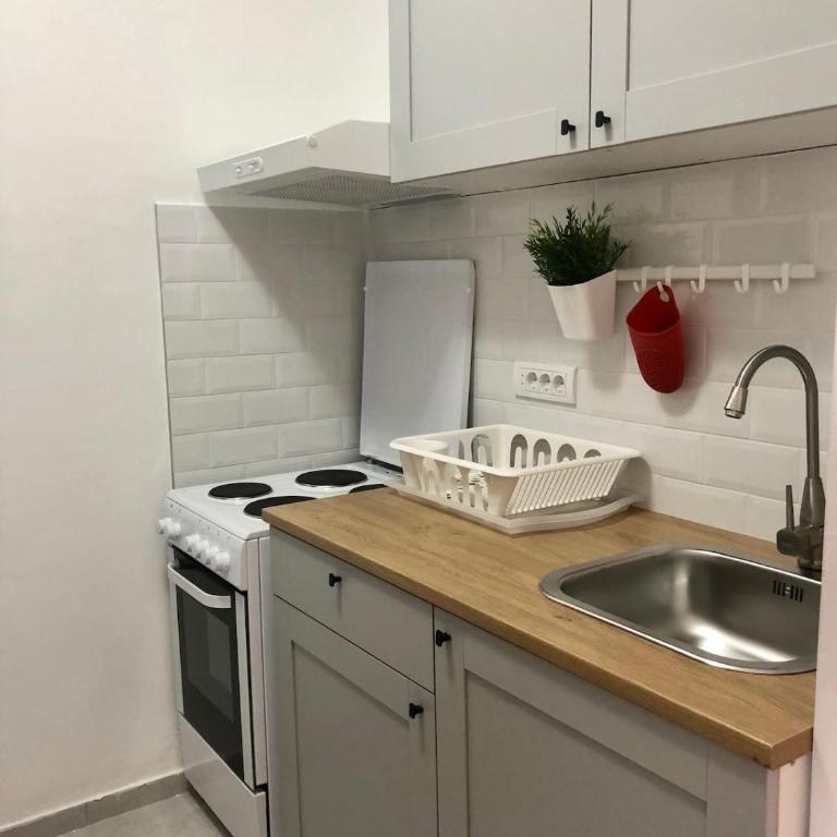 Sunny Valley apartment Zemun - Apartman sa 1 Spavaćom Sobom - 11