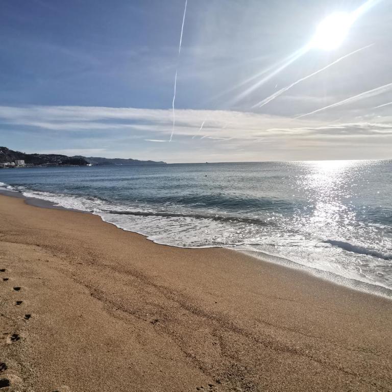 Seafront apartment S'Abanell Central Park with pool - Apartamento de 3 dormitorios - 39