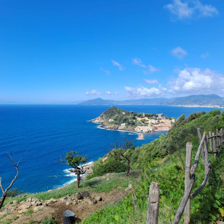 182 - Casa degli Ulivi Cavi di Lavagna, 50metri dal mare e dalle spiagge - Appartamento con 2 Camere da Letto - 6