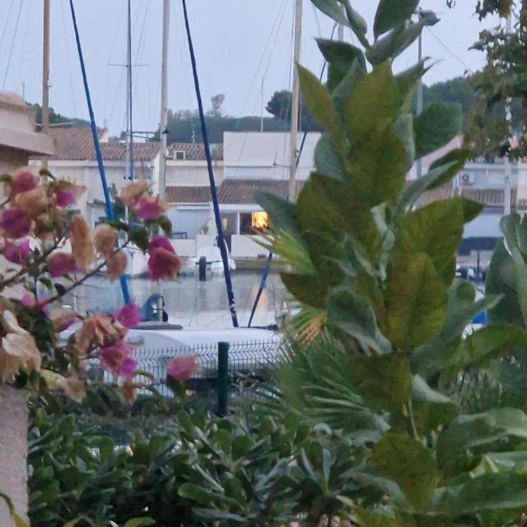 La Chrysalide - Classé 3 étoiles - 4 pers - Port du Cap d'agde - Plage - Clim - Wifi - Histoire de clés - Appartement 1 Chambre - 11