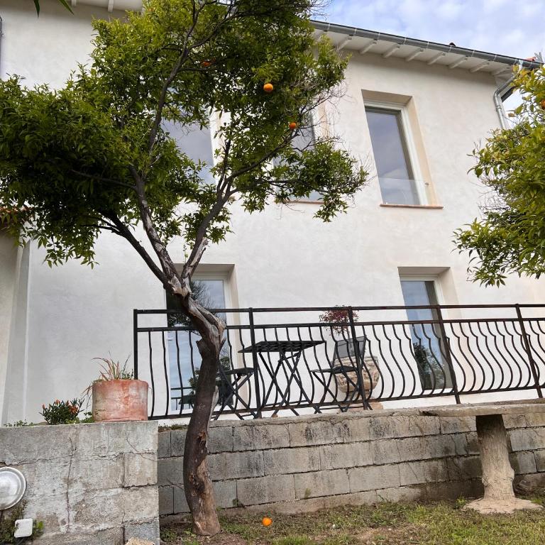 Petit paradis perché au coeur de Nice - Maison 2 Chambres - 25
