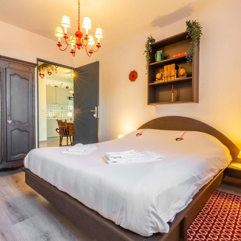 Logement Traditionnel au Style Alsacien Central - Appartamento con 2 Camere da Letto - 8