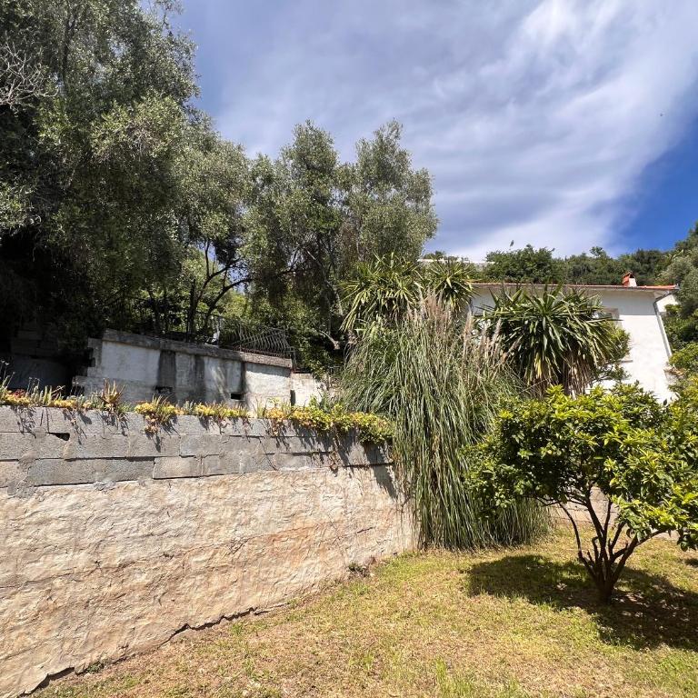 Petit paradis perché au coeur de Nice - Maison 2 Chambres - 31